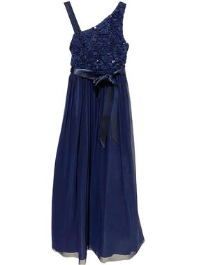 Poppies and Roses Girls Navy Sleeveless Floral Appliqué Formal Dress Satin Sash